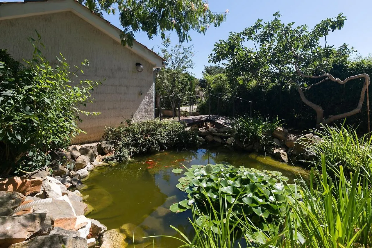 Dairos Villa Poreč